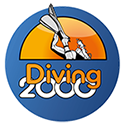 Diving 2000 A/S